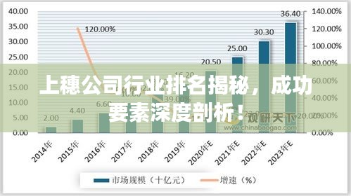 上穗公司行业排名揭秘，成功要素深度剖析！