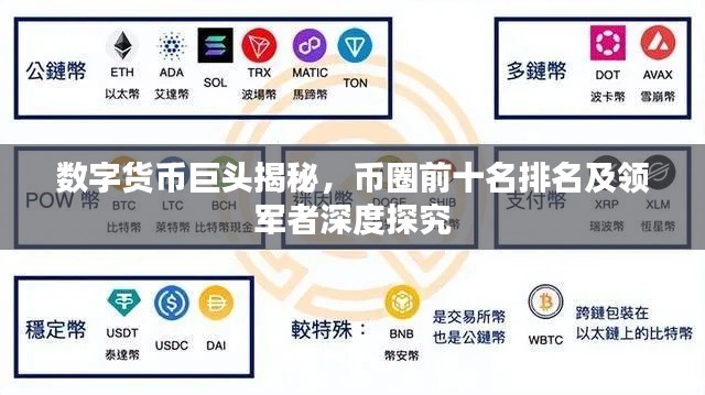 数字货币巨头揭秘，币圈前十名排名及领军者深度探究