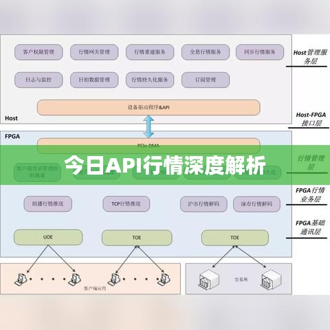 今日API行情深度解析