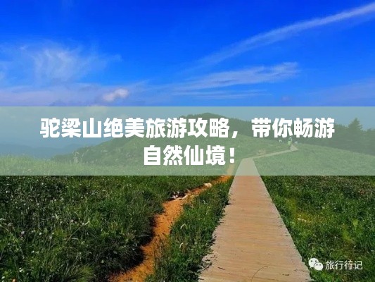 驼梁山绝美旅游攻略，带你畅游自然仙境！