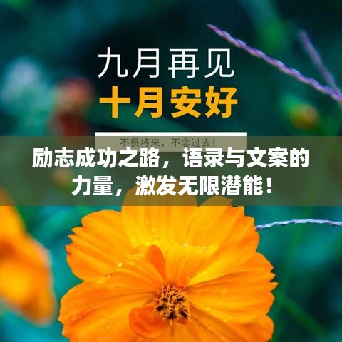 励志成功之路，语录与文案的力量，激发无限潜能！