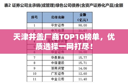 天津井盖厂商TOP10榜单，优质选择一网打尽！