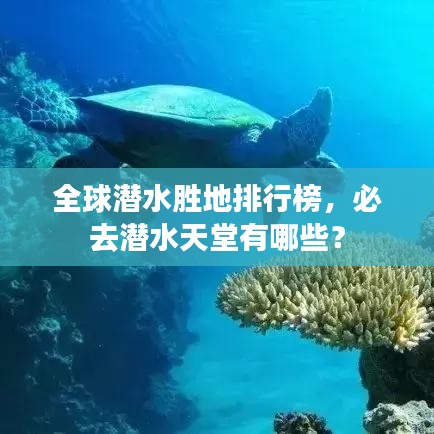 全球潜水胜地排行榜，必去潜水天堂有哪些？