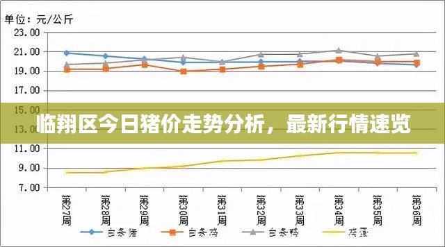 临翔区今日猪价走势分析，最新行情速览