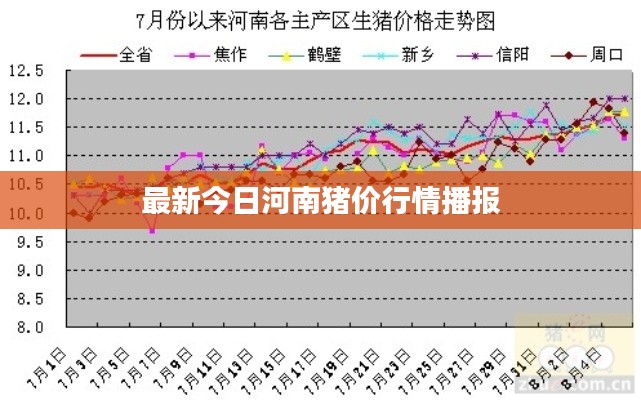 最新今日河南猪价行情播报