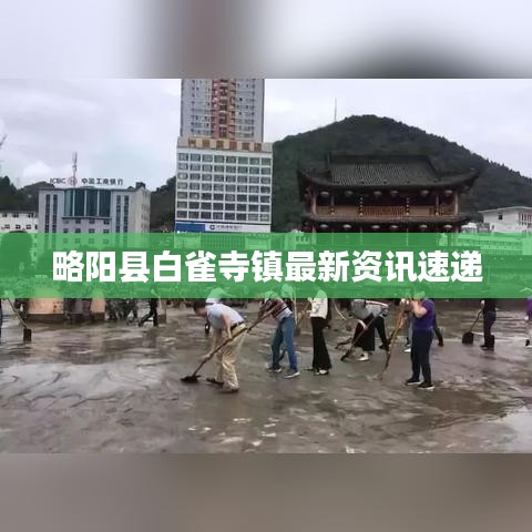 略阳县白雀寺镇最新资讯速递