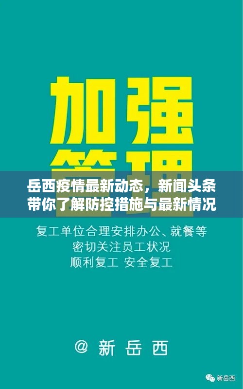 岳西疫情最新动态，新闻头条带你了解防控措施与最新情况