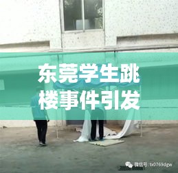 东莞学生跳楼事件引发社会震惊热议