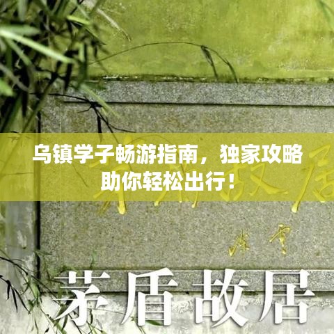 乌镇学子畅游指南，独家攻略助你轻松出行！