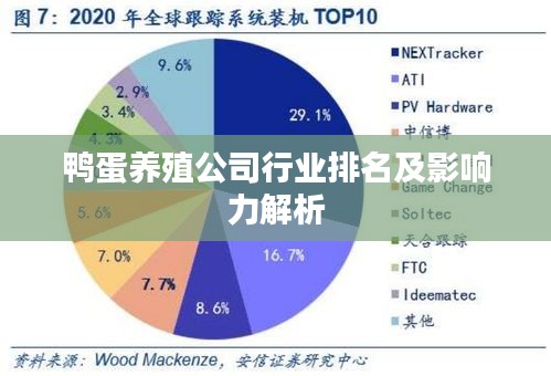 鸭蛋养殖公司行业排名及影响力解析