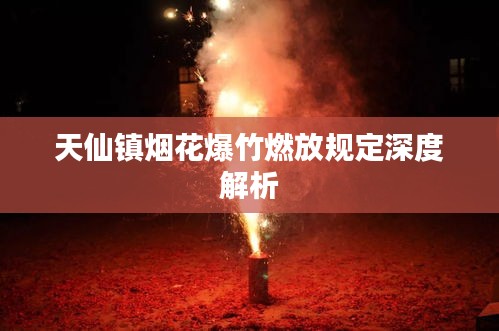 天仙镇烟花爆竹燃放规定深度解析