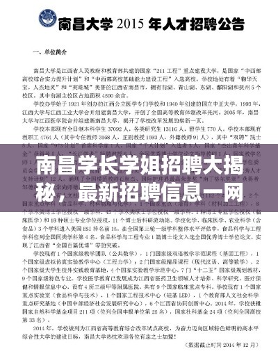 南昌学长学姐招聘大揭秘，最新招聘信息一网打尽！