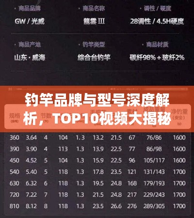 钓竿品牌与型号深度解析，TOP10视频大揭秘！