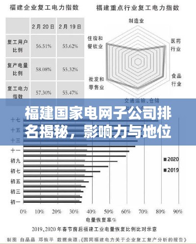 福建国家电网子公司排名揭秘，影响力与地位不容小觑