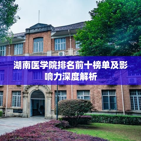 湖南医学院排名前十榜单及影响力深度解析