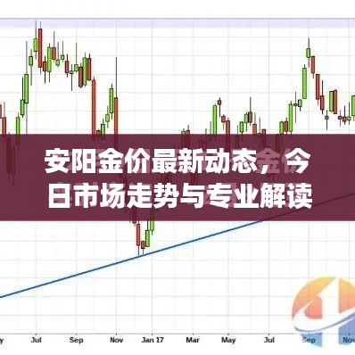 安阳金价最新动态，今日市场走势与专业解读