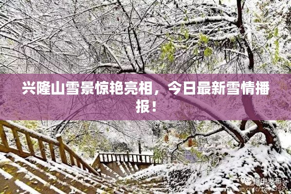 兴隆山雪景惊艳亮相，今日最新雪情播报！