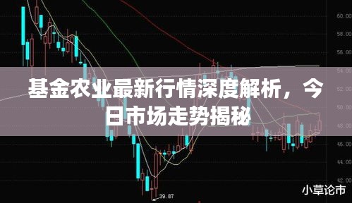 基金农业最新行情深度解析，今日市场走势揭秘