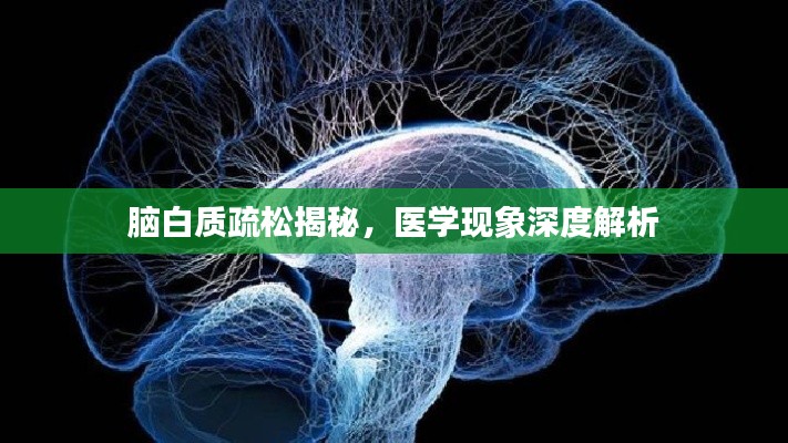 脑白质疏松揭秘，医学现象深度解析