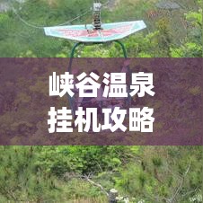 峡谷温泉挂机攻略大全，最新指南助你轻松享受温泉之旅！