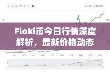 Floki币今日行情深度解析，最新价格动态一网打尽