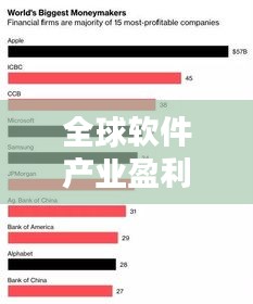 全球软件产业盈利巨头排名揭秘，收入最高的公司榜单！