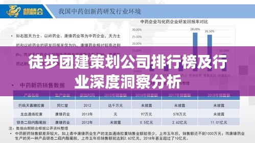 徒步团建策划公司排行榜及行业深度洞察分析