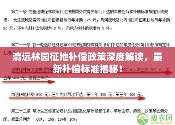 清远林园征地补偿政策深度解读，最新补偿标准揭秘！