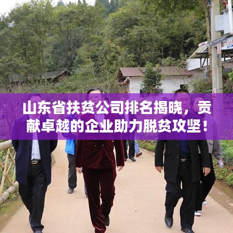 山东省扶贫公司排名揭晓，贡献卓越的企业助力脱贫攻坚！