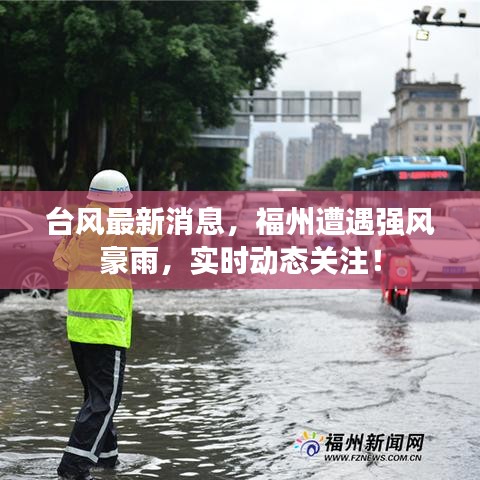 台风最新消息，福州遭遇强风豪雨，实时动态关注！