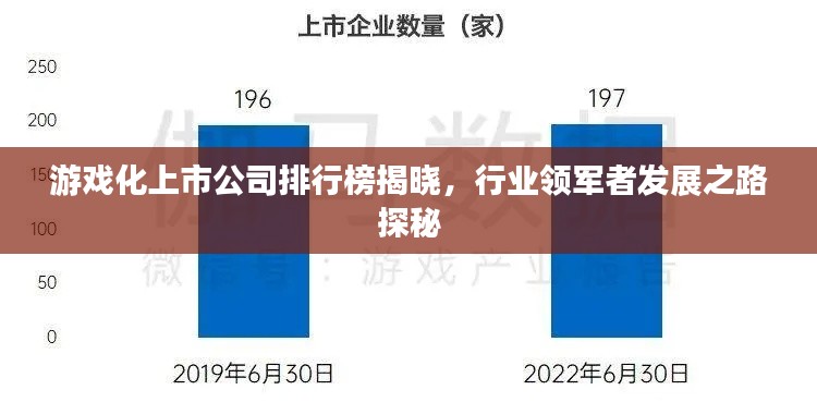 游戏化上市公司排行榜揭晓，行业领军者发展之路探秘