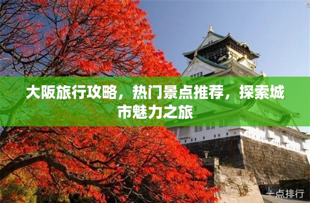 大阪旅行攻略，热门景点推荐，探索城市魅力之旅