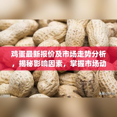 鸡蛋最新报价及市场走势分析，揭秘影响因素，掌握市场动态！