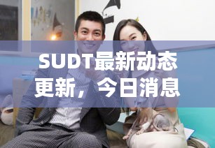 SUDT最新动态更新，今日消息一网打尽