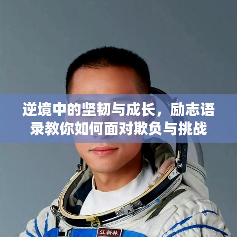 逆境中的坚韧与成长，励志语录教你如何面对欺负与挑战