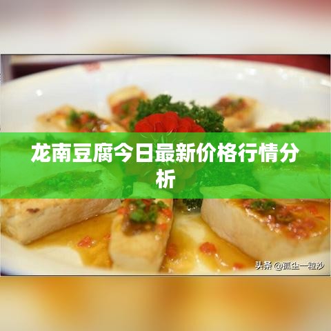 龙南豆腐今日最新价格行情分析