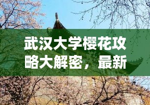 武汉大学樱花攻略大解密，最新观赏指南