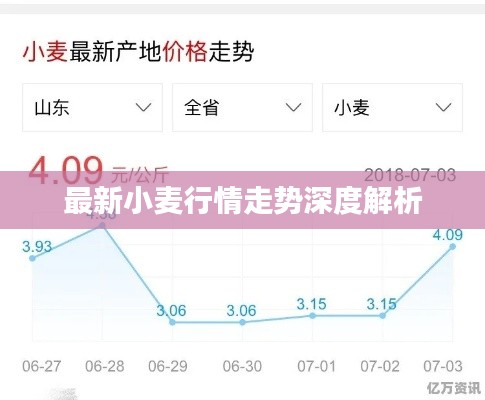 最新小麦行情走势深度解析