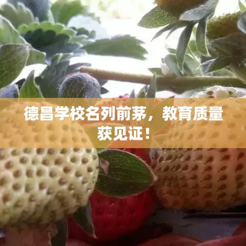 德昌学校名列前茅，教育质量获见证！