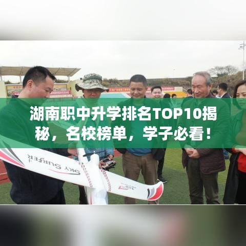 湖南职中升学排名TOP10揭秘，名校榜单，学子必看！