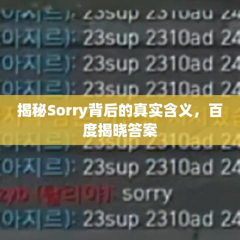 揭秘Sorry背后的真实含义，百度揭晓答案