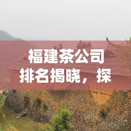 福建茶公司排名揭晓，探寻茶叶巨头，品质之选！