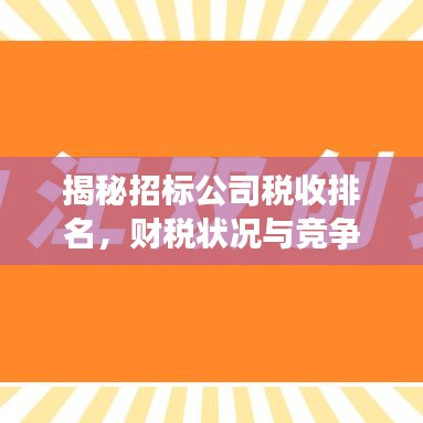 揭秘招标公司税收排名，财税状况与竞争力深度解析