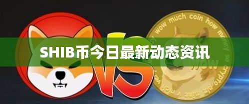 SHIB币今日最新动态资讯