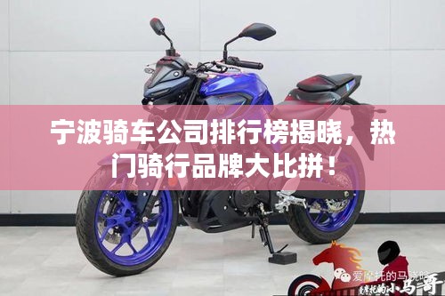 宁波骑车公司排行榜揭晓，热门骑行品牌大比拼！