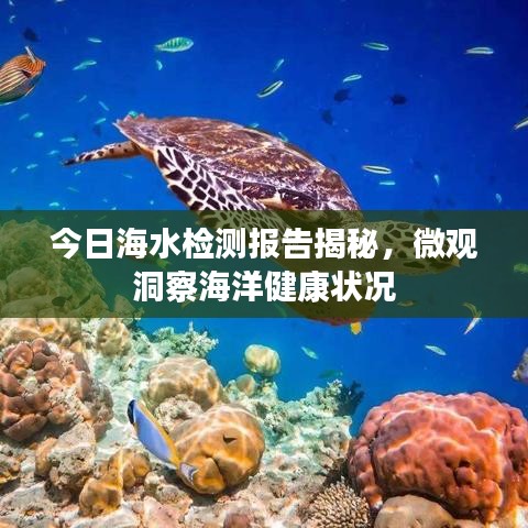 今日海水检测报告揭秘，微观洞察海洋健康状况