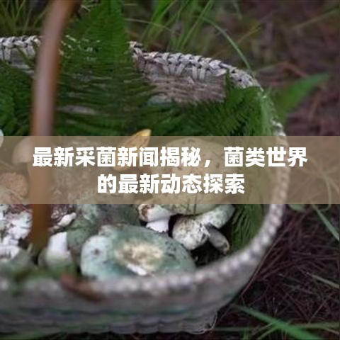 减震支架 第19页