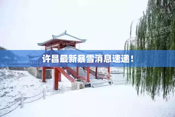 许昌最新暴雪消息速递！