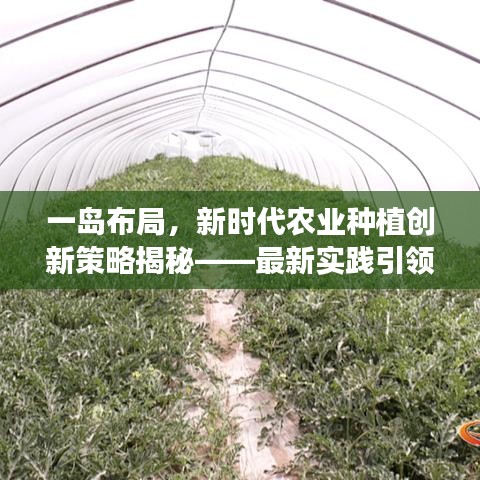 一岛布局，新时代农业种植创新策略揭秘——最新实践引领种田革命