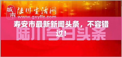 寿安市最新新闻头条，不容错过！